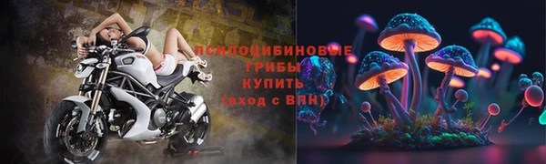 бутират Алзамай