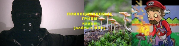 шишки Алексеевка