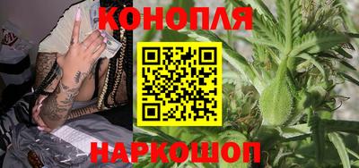 стаф Севастополь