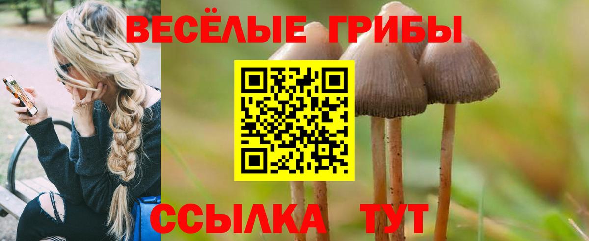 Псилоцибиновые грибы мухоморы  Вход с VPN  Сыктывкар  Галлюциногенные грибы Psilocybine cubensis 